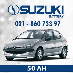 خرید باتری سوزوکی فابریک پژو 206