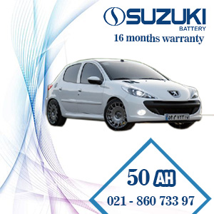 فروش باتری سوزوکی پژو 207 با گارانتی رسمی