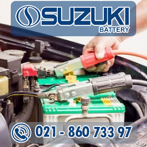 ارسال و نصب رایگان باتری تارا